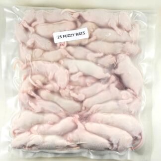 Frozen Rats - Image 2