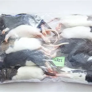 Mixed Sizes Frozen Rats & Mice
