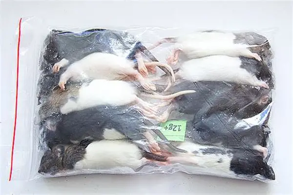 Mixed Sizes Frozen Rats & Mice